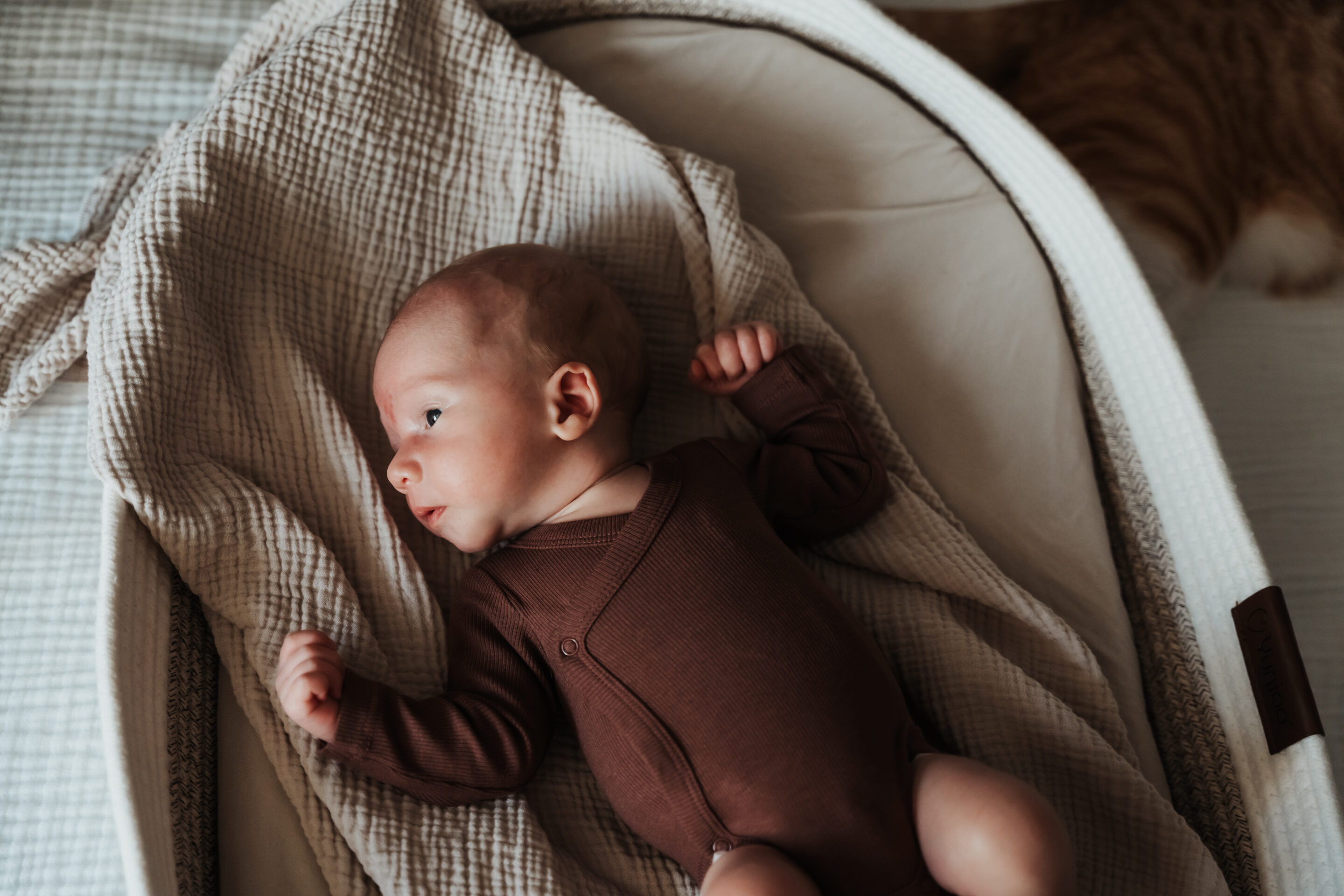 newborn-fotoshoot-nijmegen-noord-oost-brabant newborn-fotoshoot-nijmegen-noord-oost-brabant